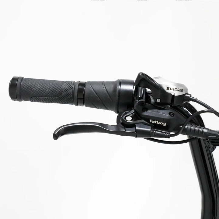 New FATBOY HARLEM V3 Step Through - Desert Sand