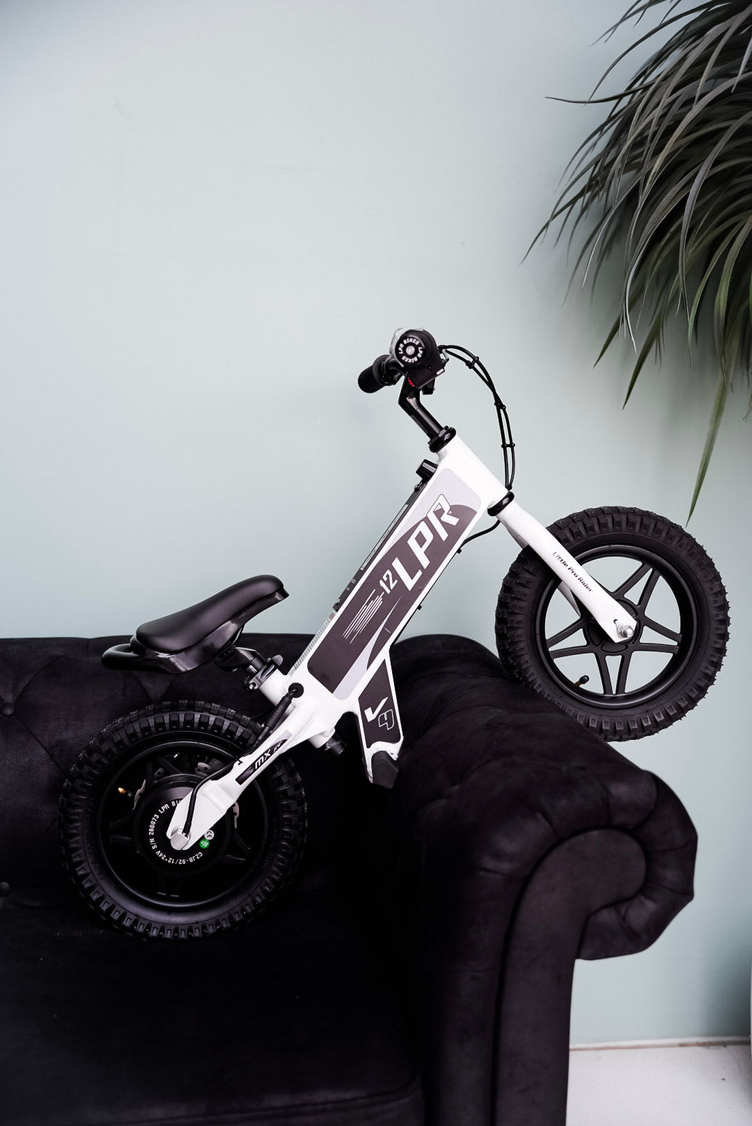 Little Pro Rider 12”