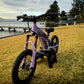 Little Pro Rider 16” LILAC LIMITED EDITION