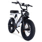 FATBOY BAGUS V2 Fat Wheel E bike WHITE NOISE