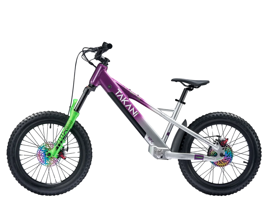 Takani 20” Plum Silver TK2060