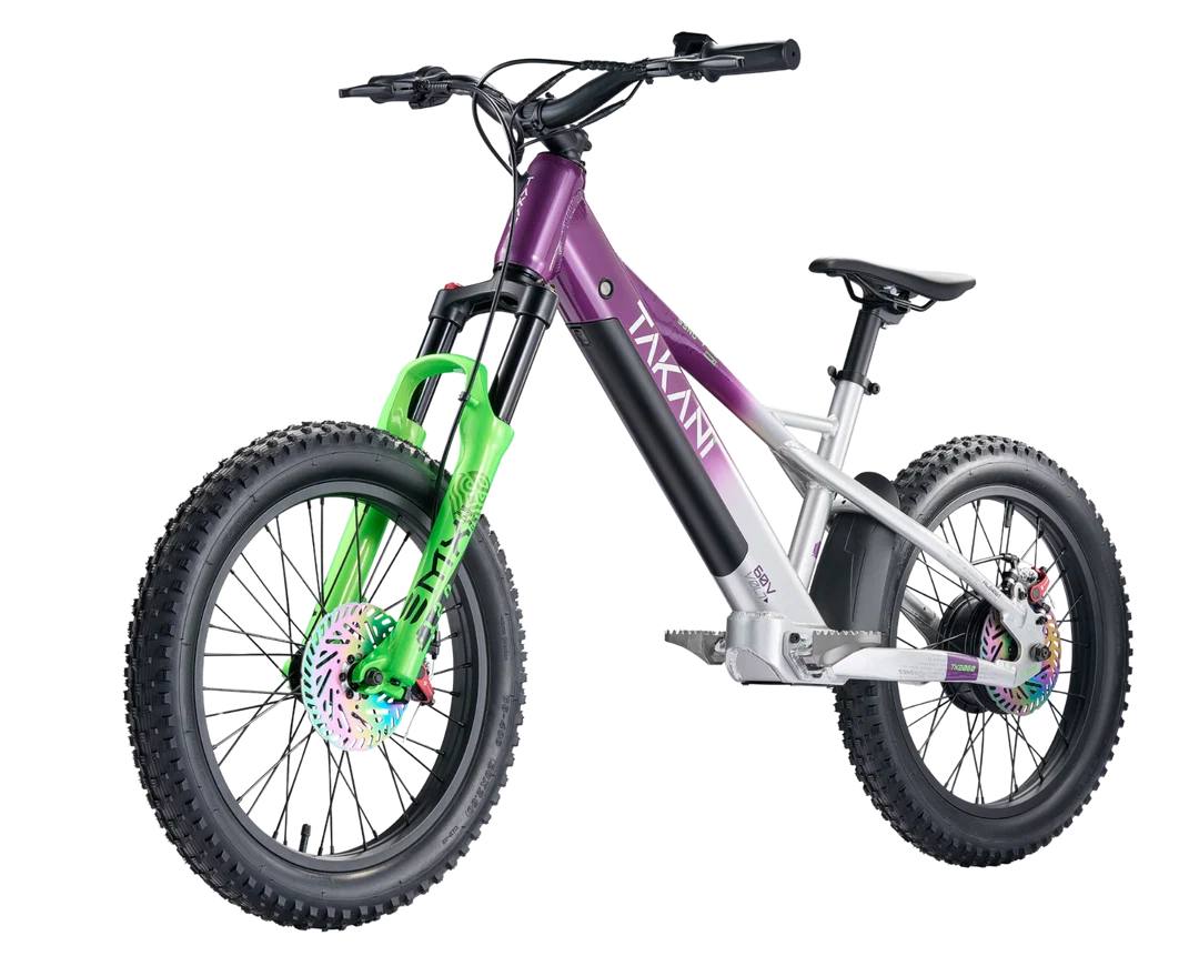 Takani 20” Plum Silver TK2060