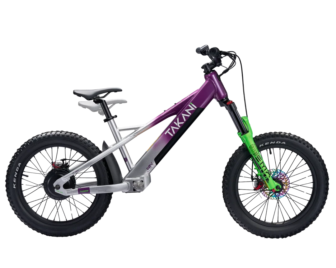 Takani 20” Plum Silver TK2060